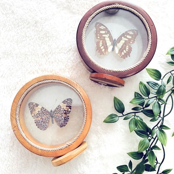 Vintage Other - Vintage Butterfly Decor